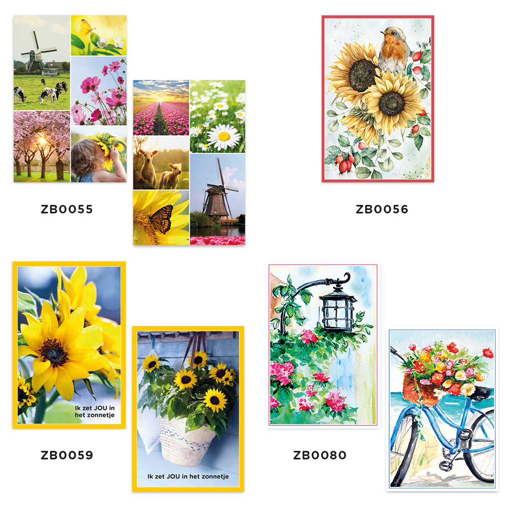 ZB0107 - Zonnebloem wenskaarten actie 3 + 1 set gratis