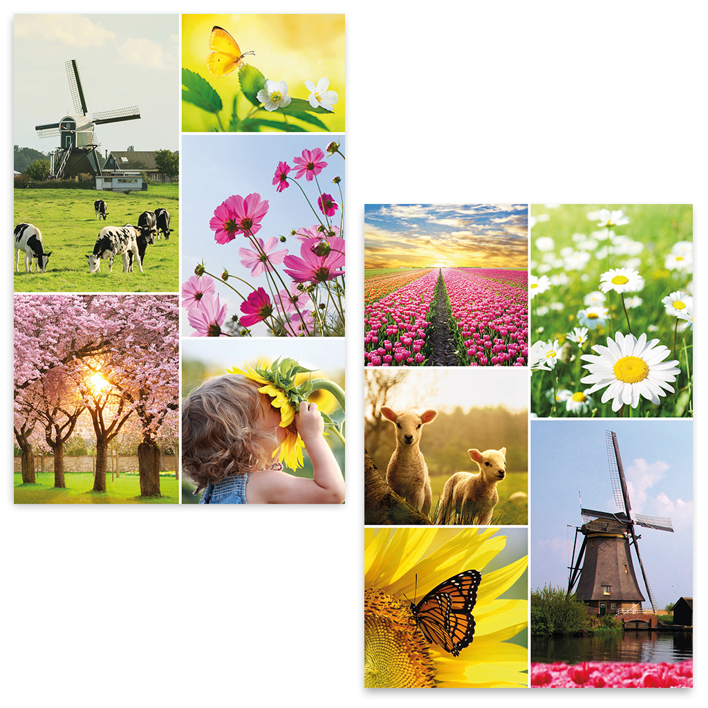 ZB0107 - Zonnebloem wenskaarten actie 3 + 1 set gratis