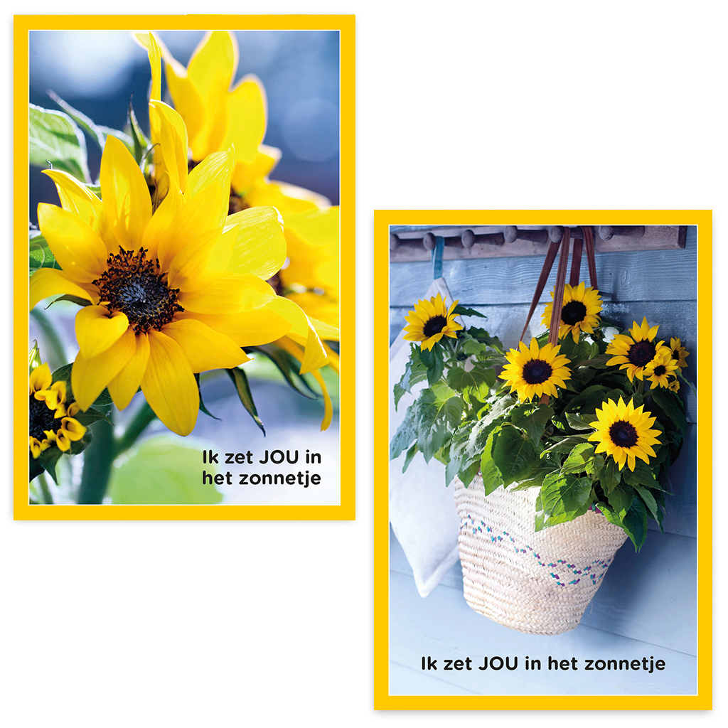 ZB0107 - Zonnebloem wenskaarten actie 3 + 1 set gratis