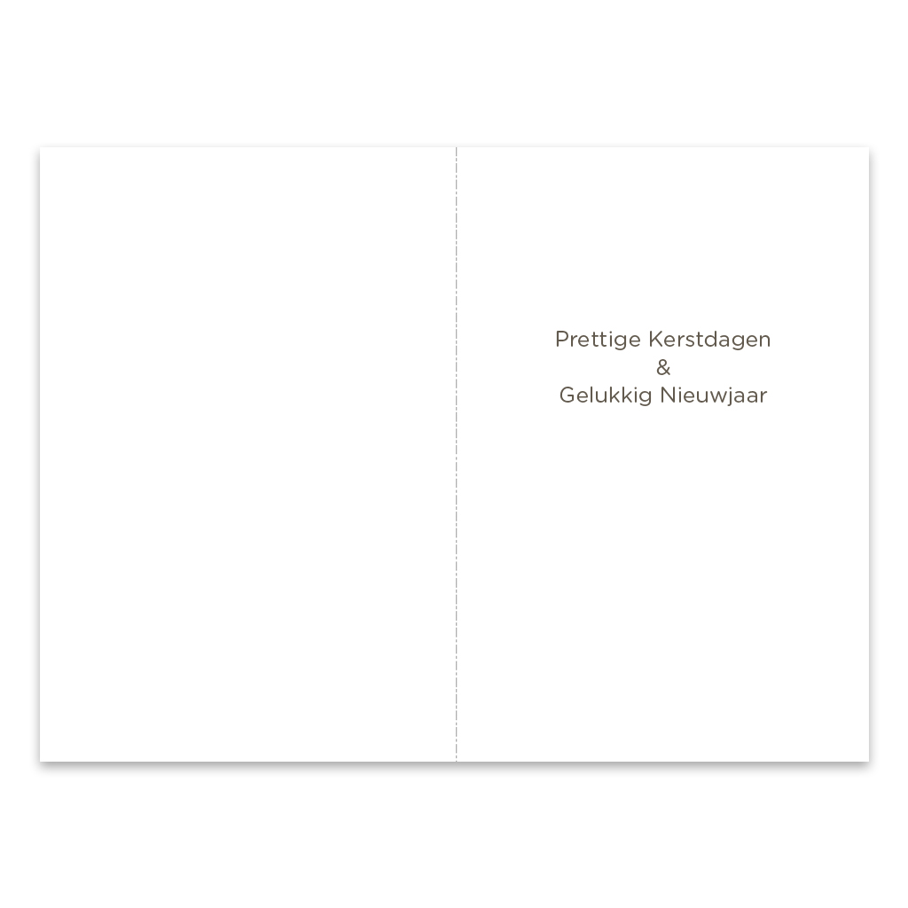 ZB0109 -  Kerst roodborstjes