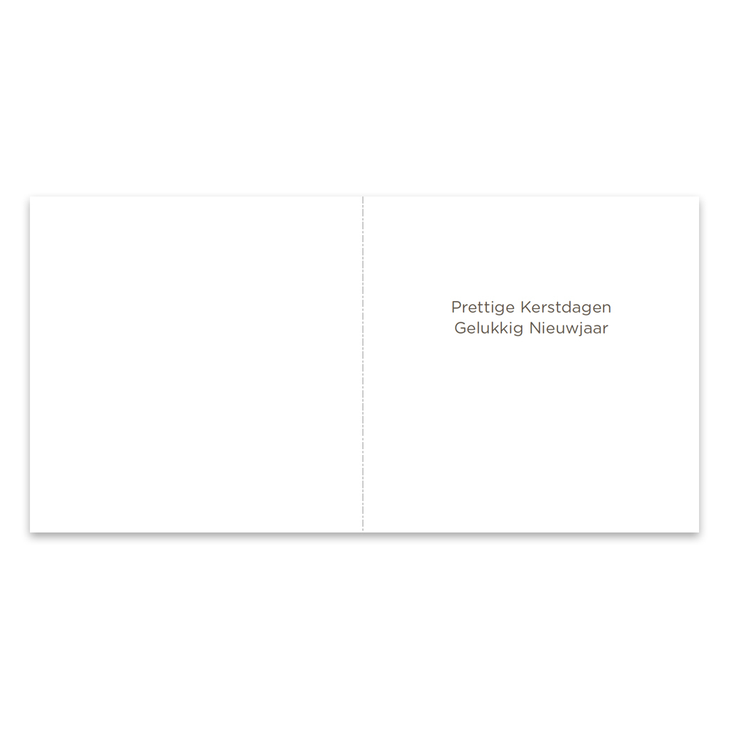 ZB0020 - Kerstdecoratie winters